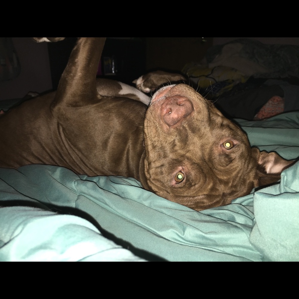 Meet your Posher, Jen